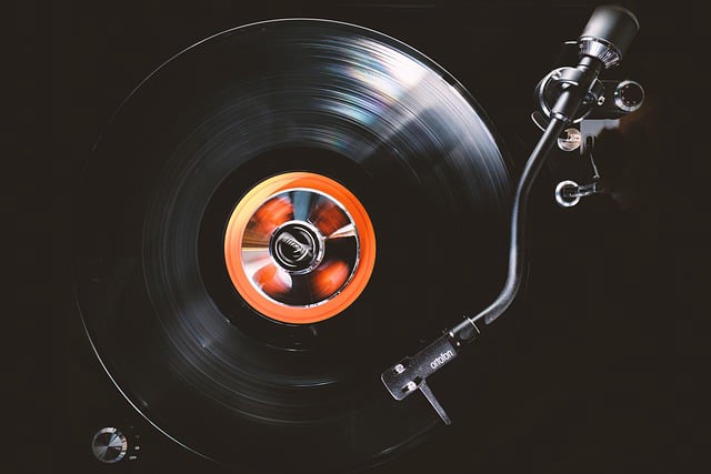 Playlist Doppellecker